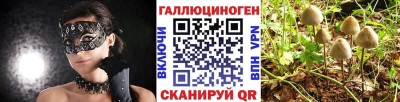 Галлюциногенные грибы GOLDEN TEACHER  магазин  наркотиков  Ртищево 